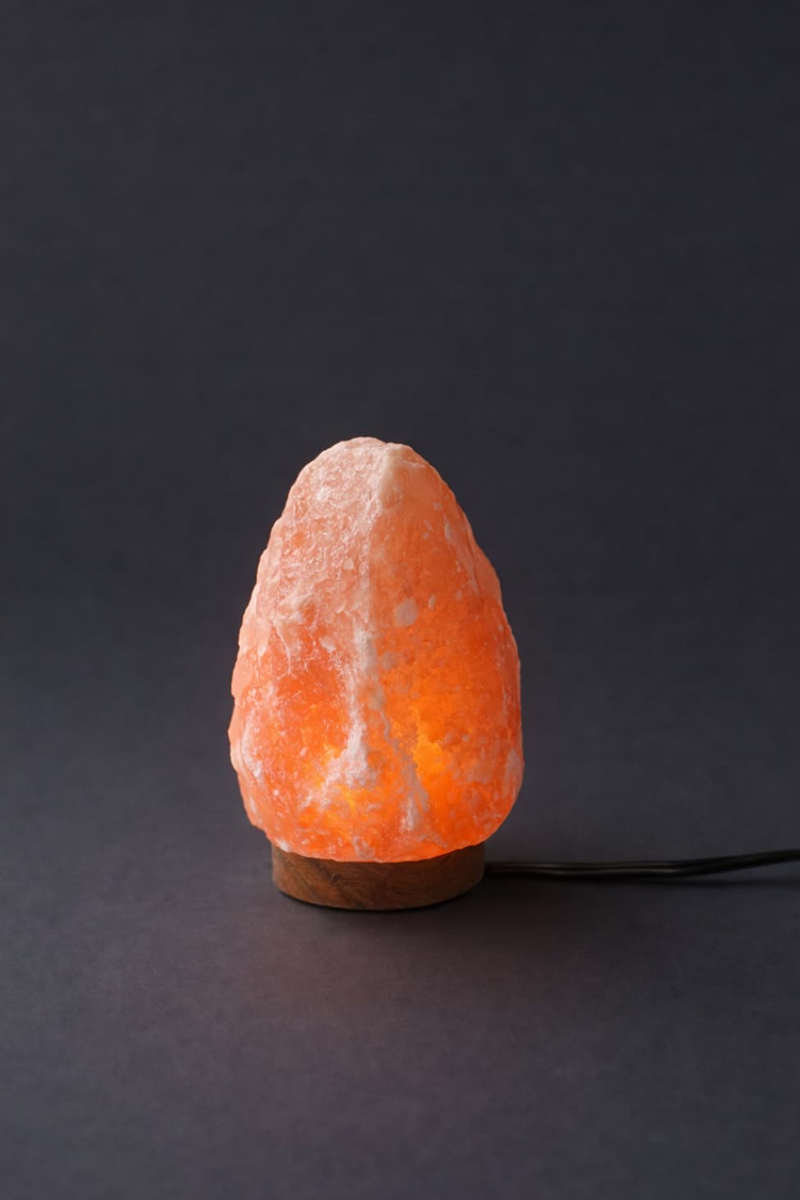 ROCK SALT PINK LAMP WITH WOOD + ELECTRIC