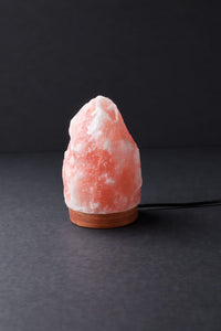 ROCK SALT PINK LAMP WITH WOOD + ELECTRIC